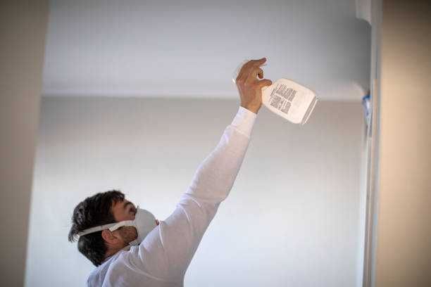 Best Mold Removal Near Me  in Wright, WY