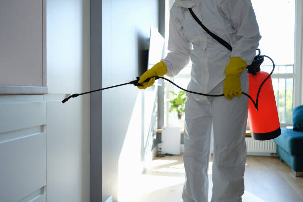 Best Professional Mold Removal  in Wright, WY