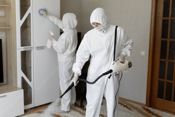 Best Same-Day Mold Removal  in Wright, WY