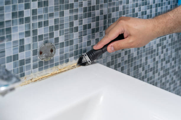 Best Local Mold Removal Service  in Wright, WY